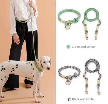 Plush Leash for Dogs Blend Strength Softness Pull