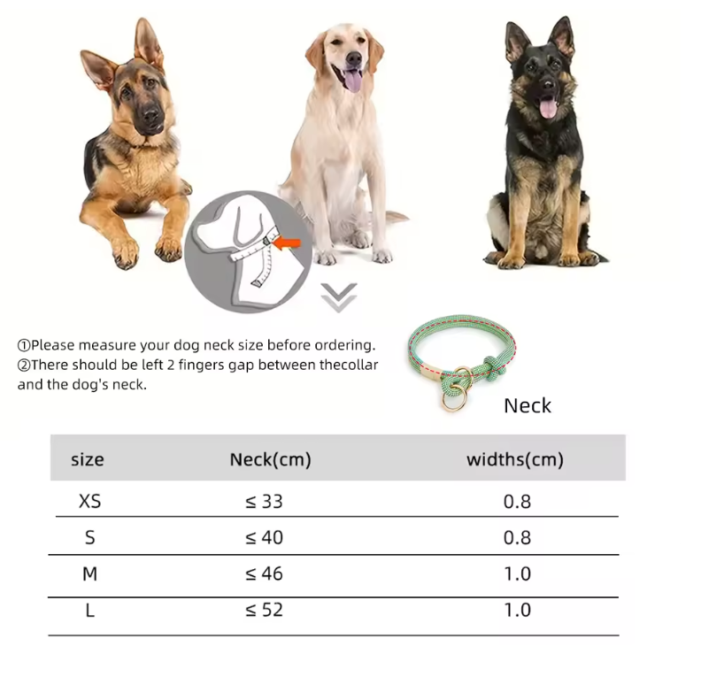Plush Leash for Dogs Blend Strength Softness Pull