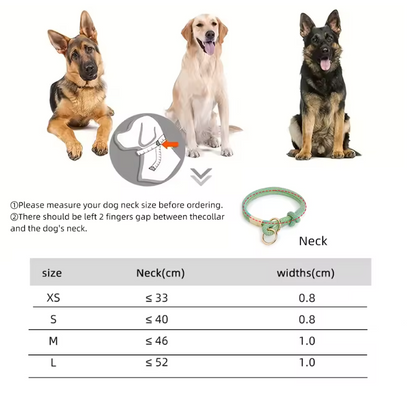 Plush Leash for Dogs Blend Strength Softness Pull
