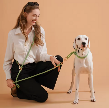 Plush Leash for Dogs Blend Strength Softness Pull