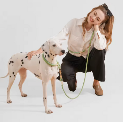 Plush Leash for Dogs Blend Strength Softness Pull