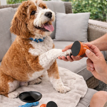 Wood Nail Grinder for Dogs Replace Grooming Anxiety