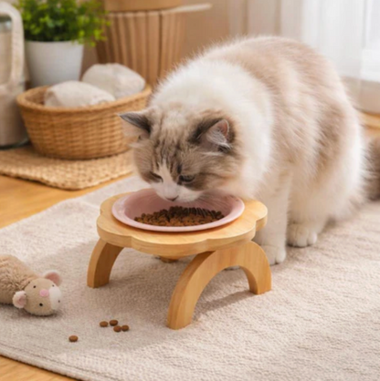 Slow Ceramic Feeder Bowl for Cats & Dogs