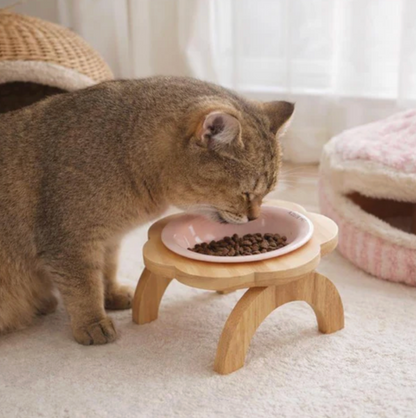 Slow Ceramic Feeder Bowl for Cats & Dogs