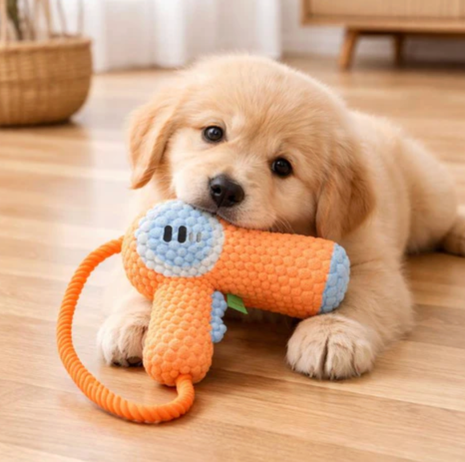 Plush Dental Care Tool for Dogs Snuggles Squeaks
