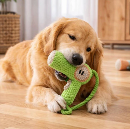 Plush Dental Care Tool for Dogs Snuggles Squeaks