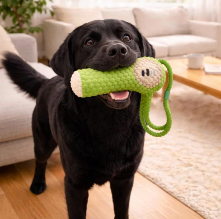 Plush Dental Care Tool for Dogs Snuggles Squeaks