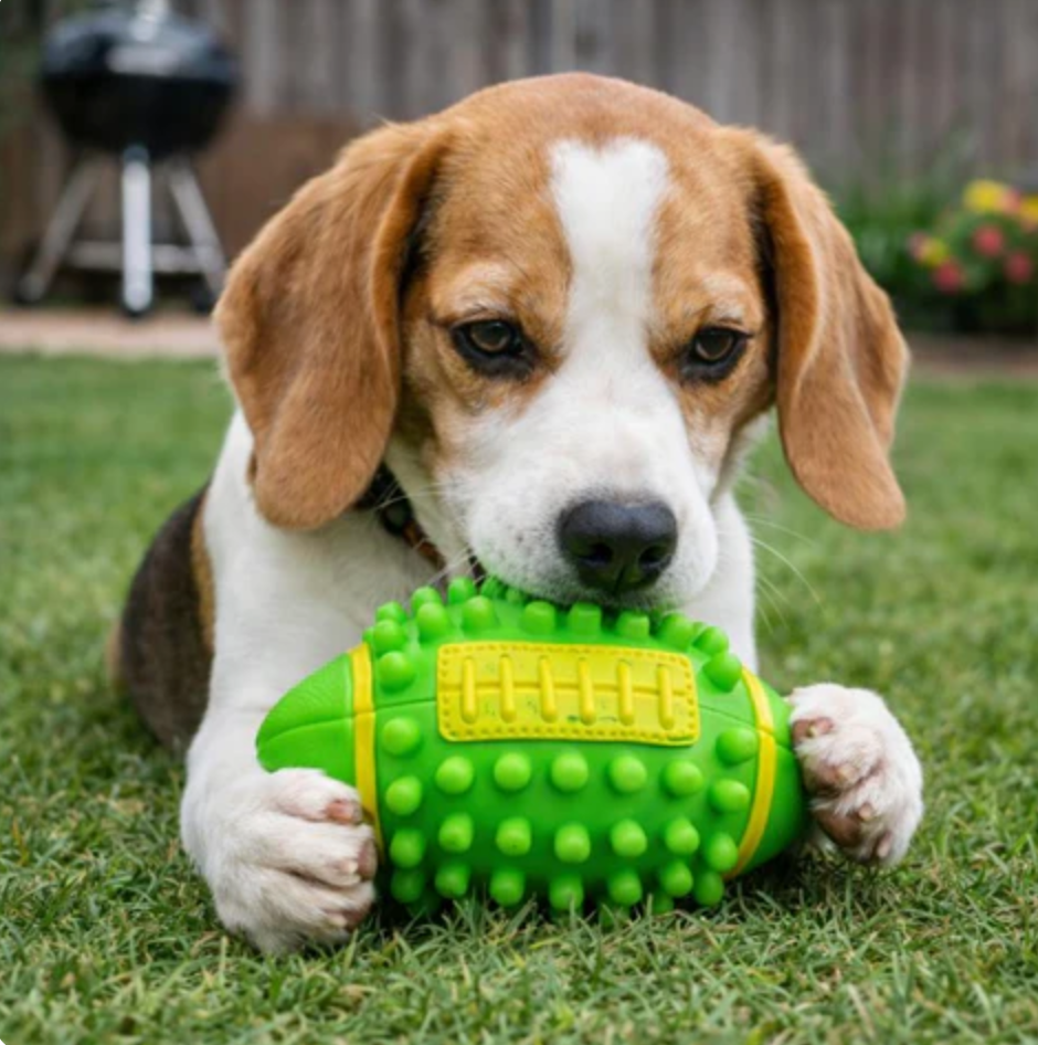 Rubber Paw Protector Boots for Dogs Chew Play