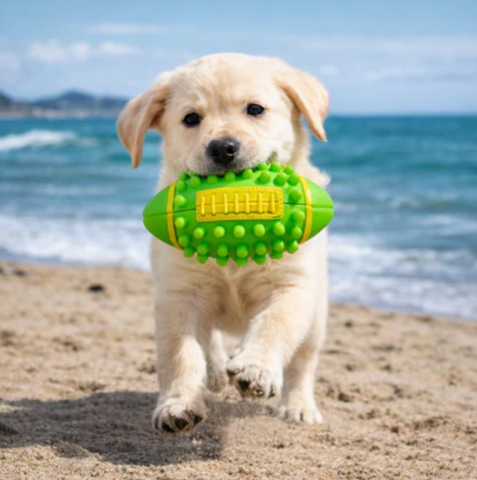 Rubber Paw Protector Boots for Dogs Chew Play