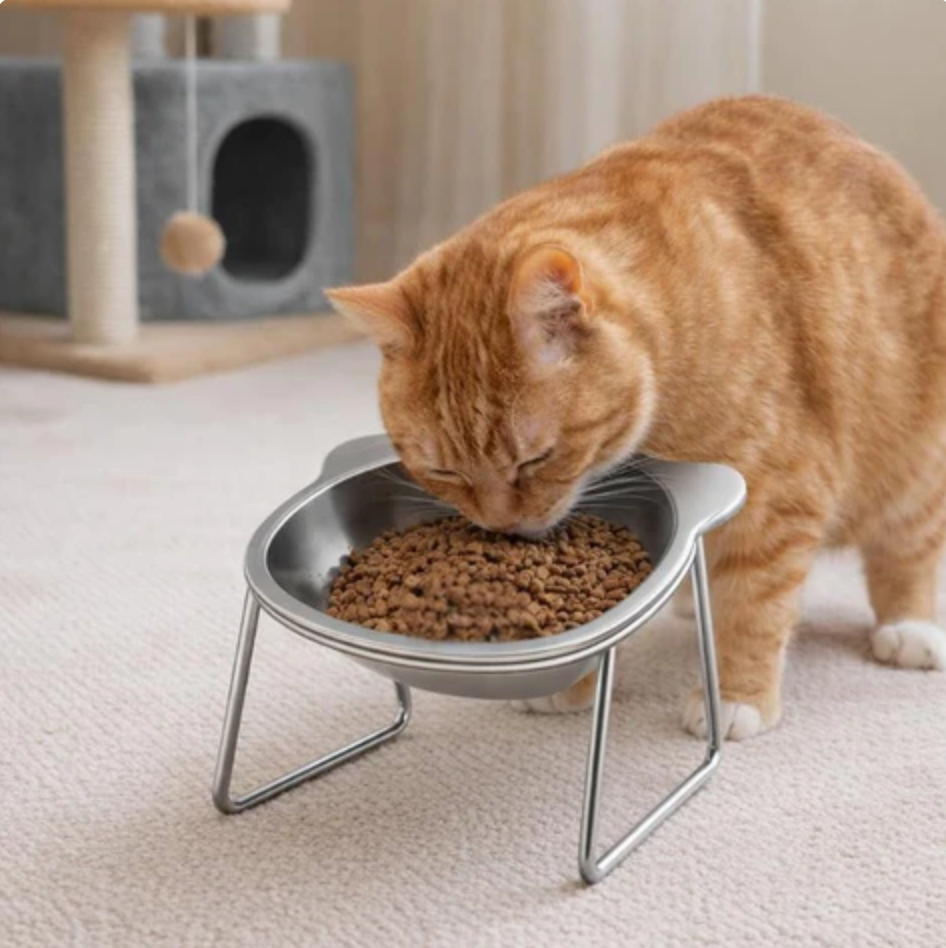 Slow Stainless Steel Feeder Bowl for Dogs Meal