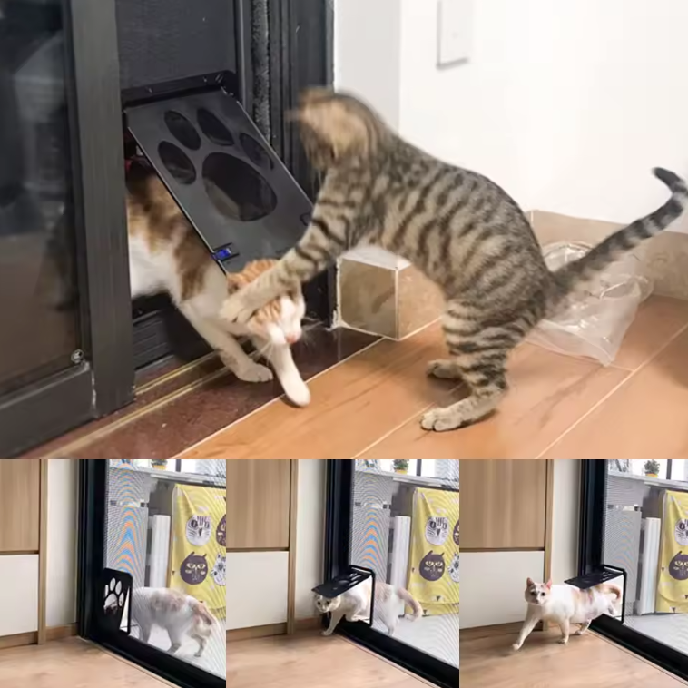 Door Flap for Cats Give Freedom Come Anytime