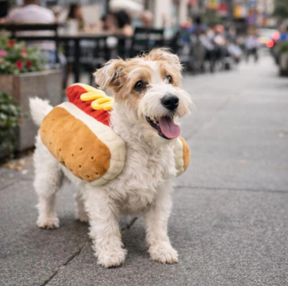 Costume for Dogs Funniest Star Moment Instantly Premium