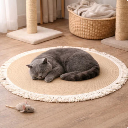 Slow Feeder Bowl for Cats Protect Home While