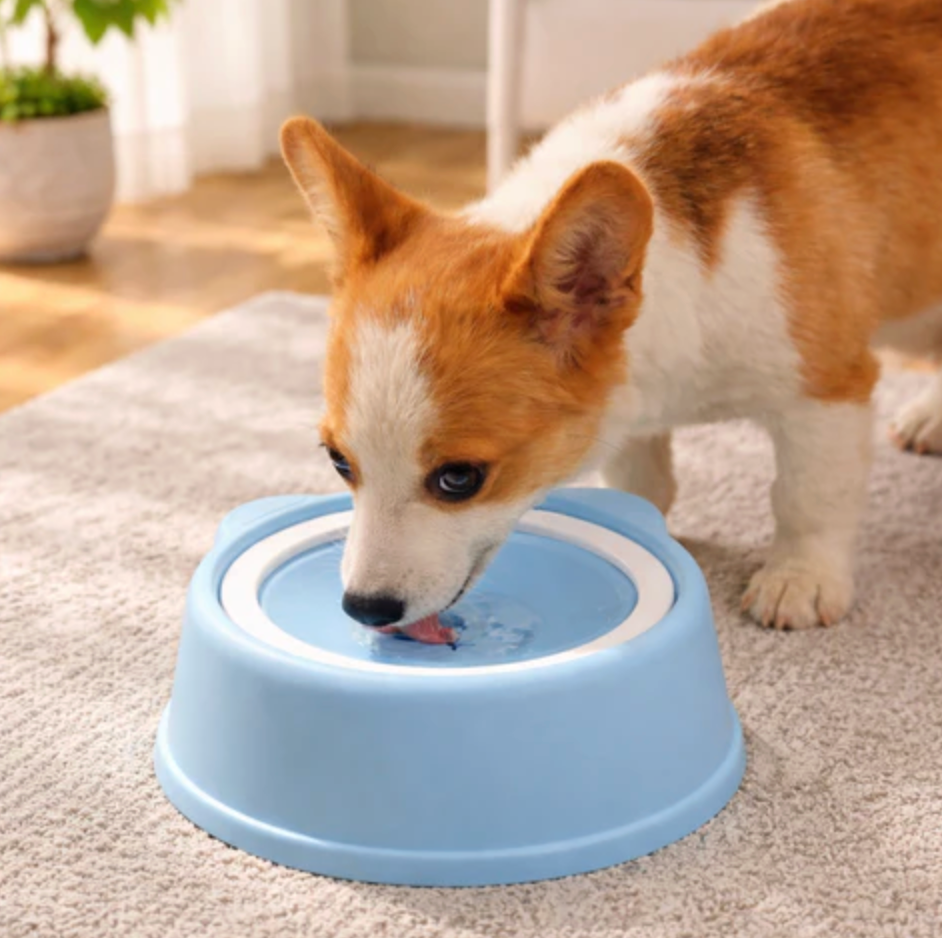 Water Fountain for Cats & Dogs More Mess