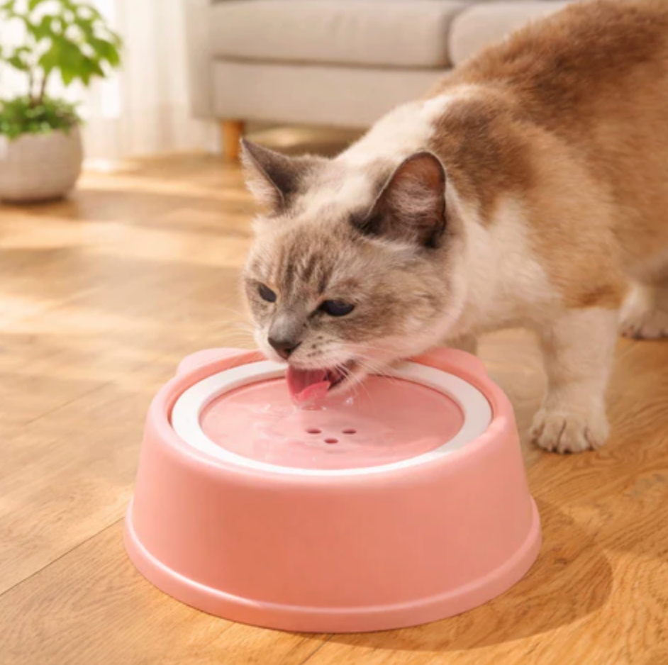 Water Fountain for Cats & Dogs More Mess
