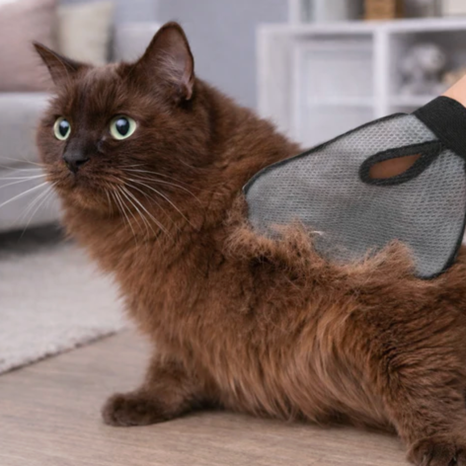 Silicone Massager for Cats & Dogs Less Shedding