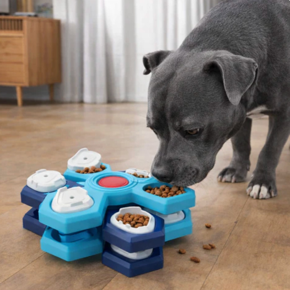 Slow Feeder Bowl for Cats & Dogs Feeding