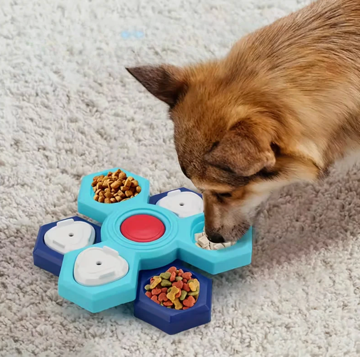Slow Feeder Bowl for Cats & Dogs Feeding