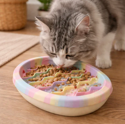 Slow Feeder Bowl for Cats & Dogs Down
