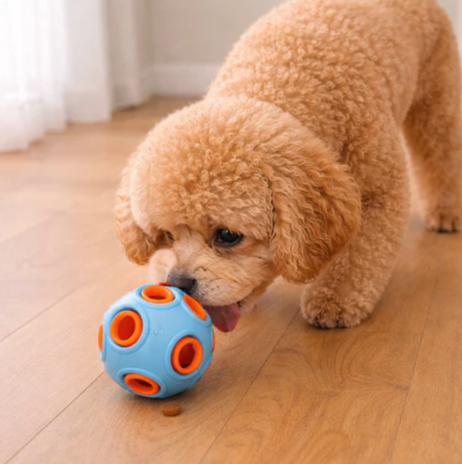 Interactive Ball Toy for Cats & Dogs Entertained