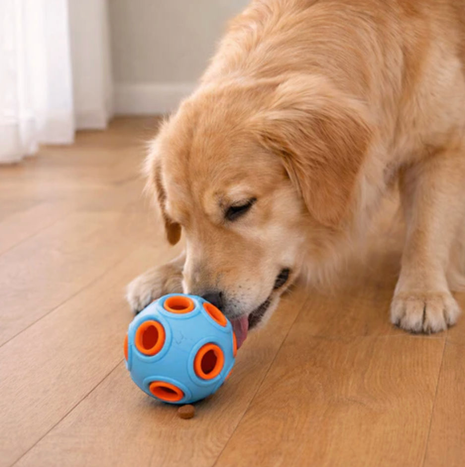 Interactive Ball Toy for Cats & Dogs Entertained