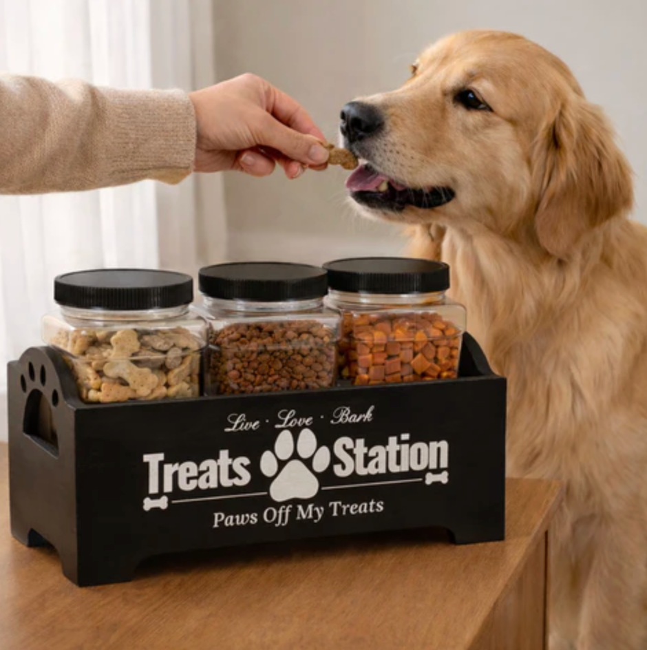 Airtight Treat Jar for Dogs Treats Fresh Organised