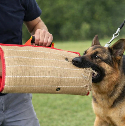 Cushion for Dogs Chaotic Play Controlled Powerful Premium