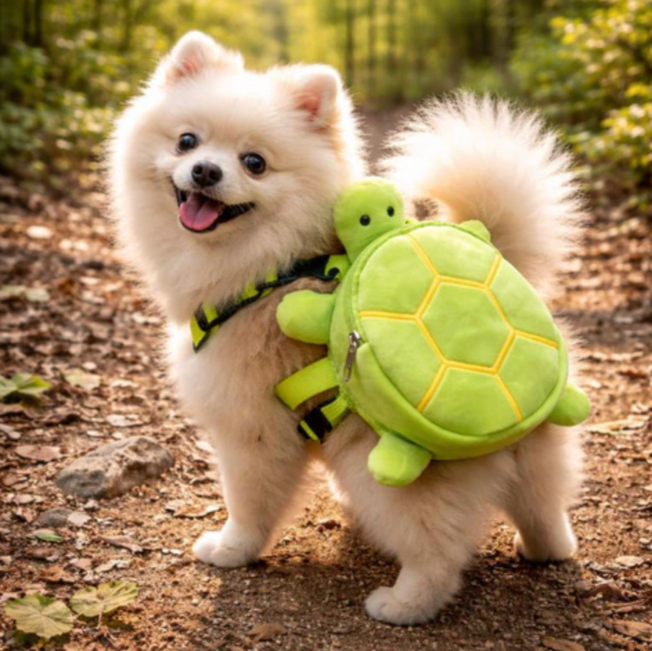 Carrier Bag for Dogs Carry Treats Cute Practical