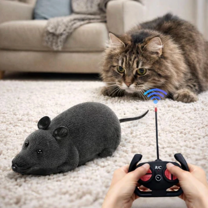 Interactive Toy for Cats & Dogs Moment Hunting