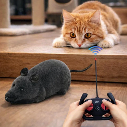 Interactive Toy for Cats & Dogs Moment Hunting