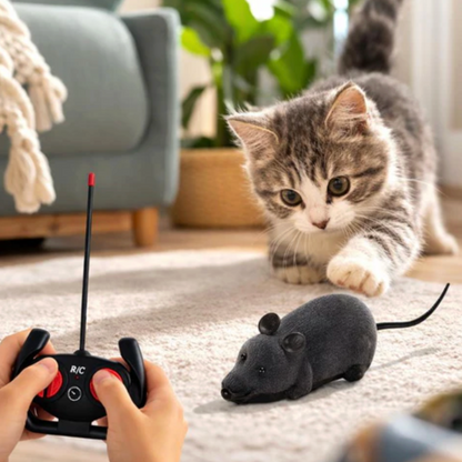 Interactive Toy for Cats & Dogs Moment Hunting