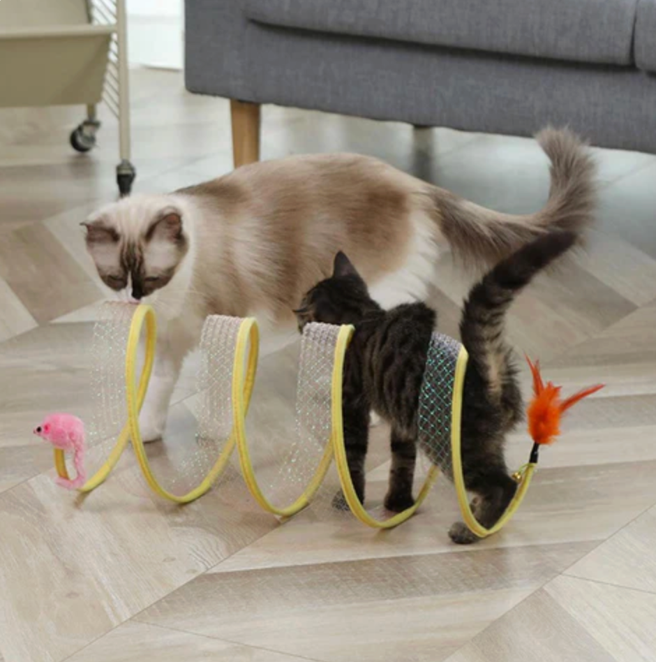 Interactive Tunnel for Cats Endless Exercise Playful Adventures