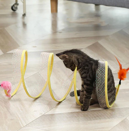 Interactive Tunnel for Cats Endless Exercise Playful Adventures