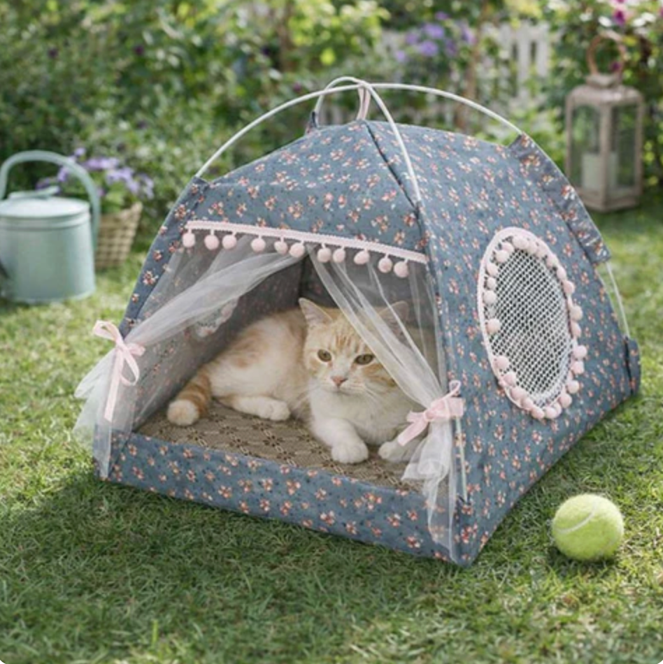 Cozy Bed for Cats Sanctuary Will Safe Peaceful