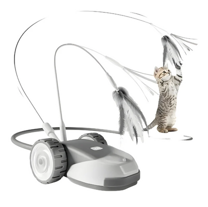 Interactive Toy for Cats Moment Exciting Chase Play