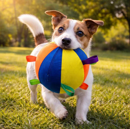 Interactive Ball Toy for Cats & Dogs Endless Energy