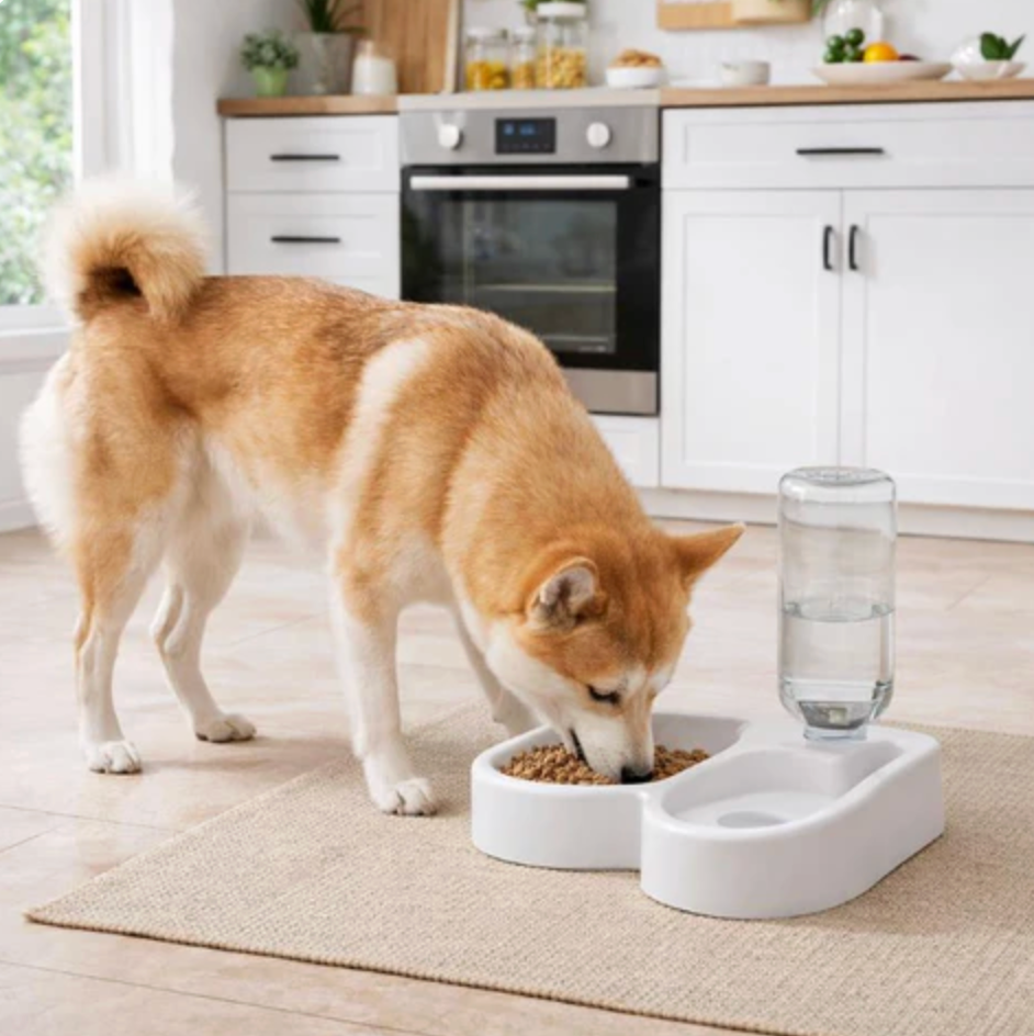 Water Fountain for Cats & Dogs Feed Hydrate