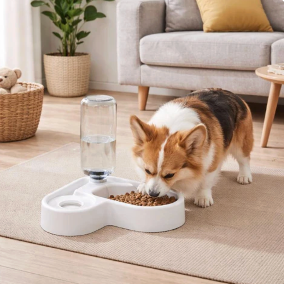 Water Fountain for Cats & Dogs Feed Hydrate