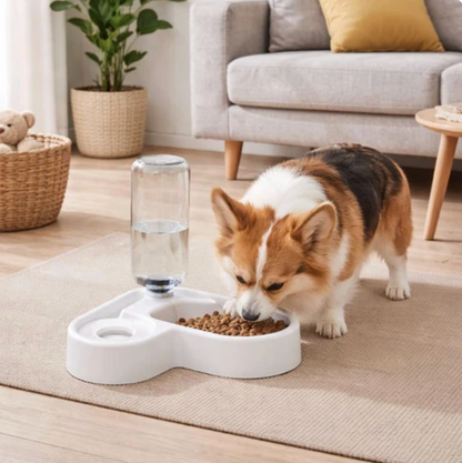 Water Fountain for Cats & Dogs Feed Hydrate