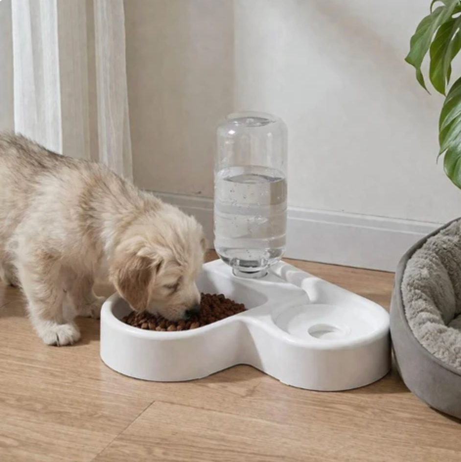 Water Fountain for Cats & Dogs Feed Hydrate