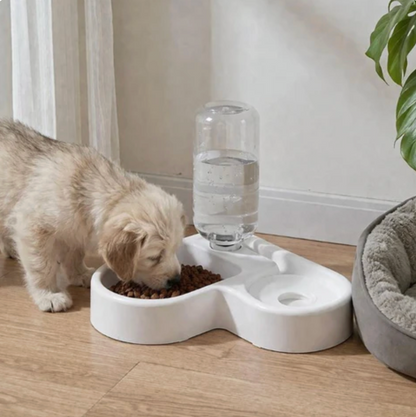 Water Fountain for Cats & Dogs Feed Hydrate