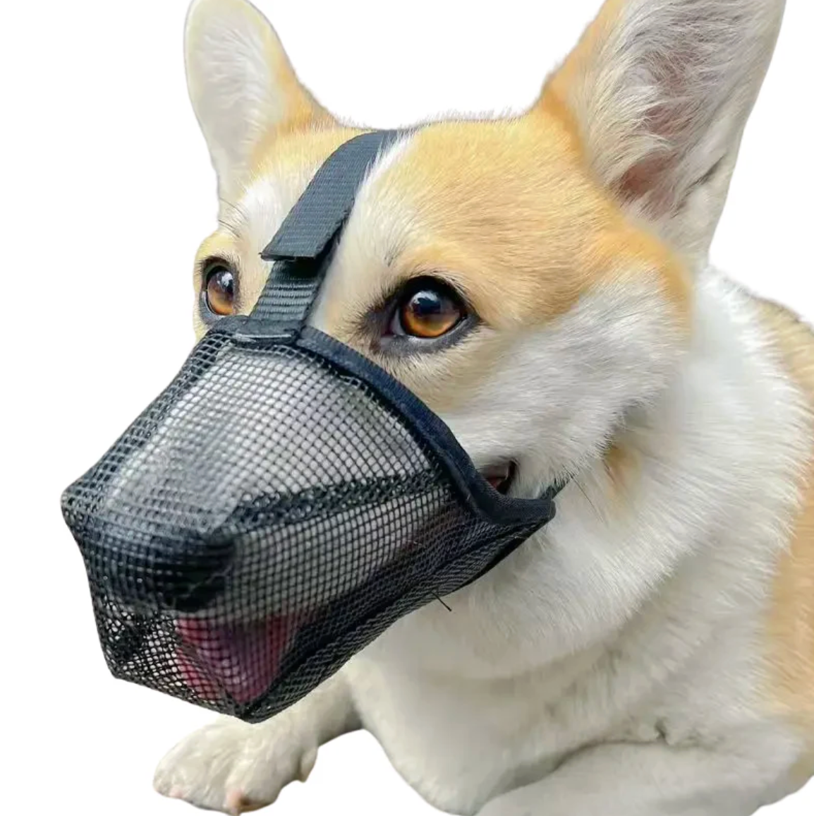Mesh Muzzle for Dogs Safe Walks Without Stress