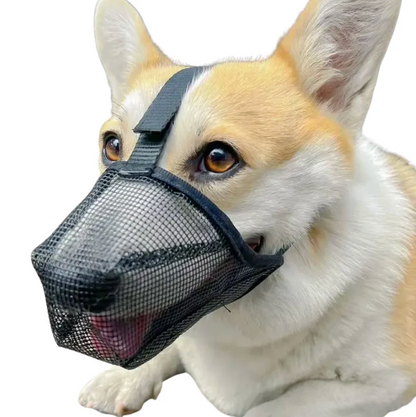 Mesh Muzzle for Dogs Safe Walks Without Stress