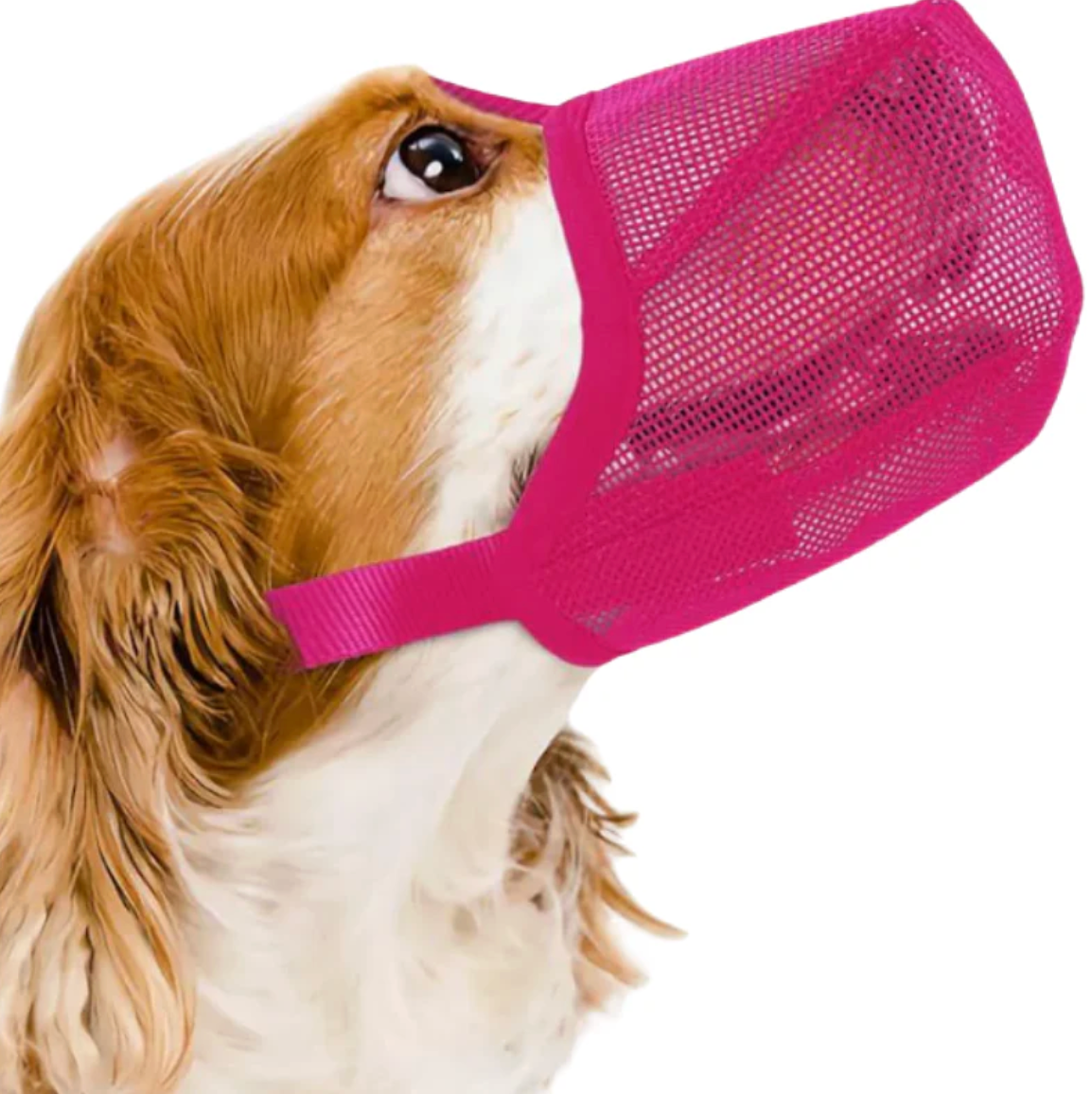 Mesh Muzzle for Dogs Safe Walks Without Stress