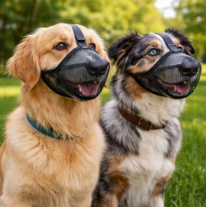 Mesh Muzzle for Dogs Safe Walks Without Stress