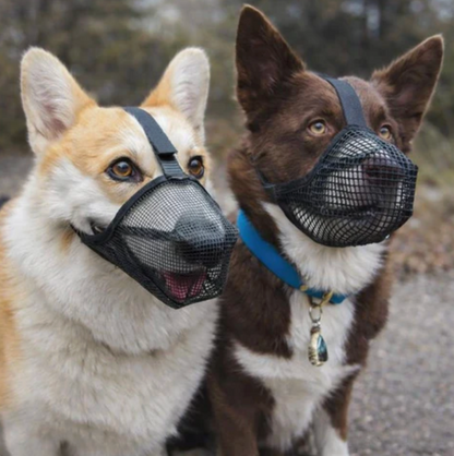 Mesh Muzzle for Dogs Safe Walks Without Stress