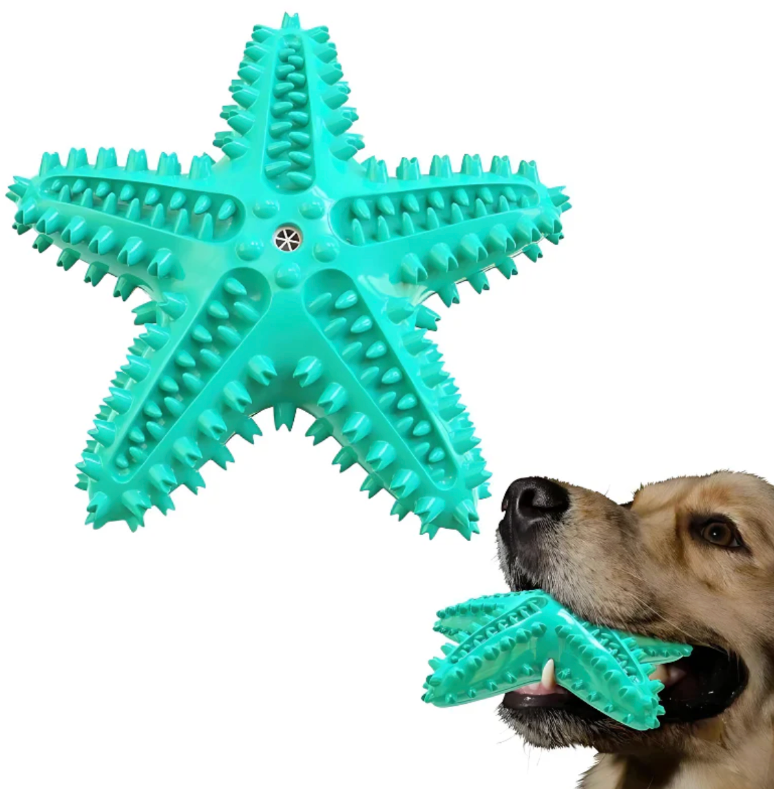 Floating Dental Care Tool for Dogs Water Moment