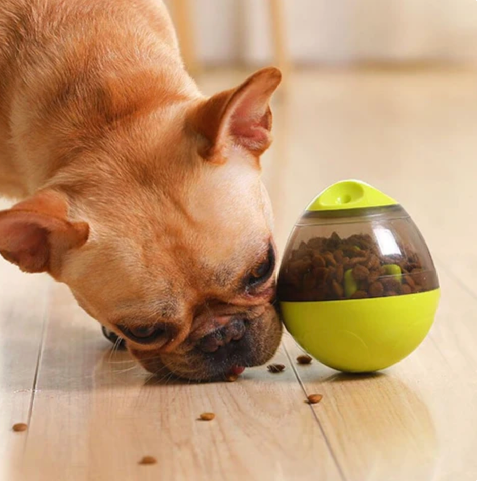 Slow Feeder Bowl for Dogs Play Smarter Snack