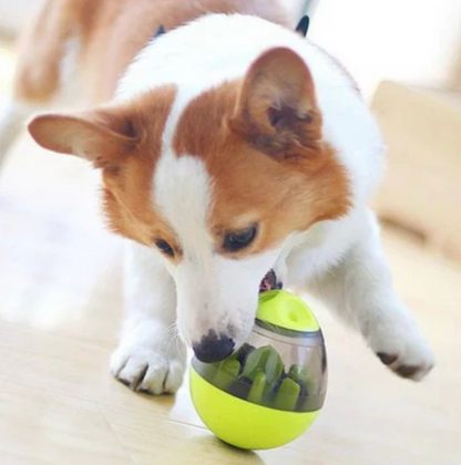 Slow Feeder Bowl for Dogs Play Smarter Snack