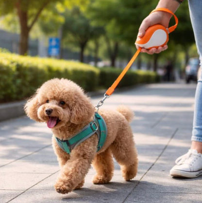 Leash for Dogs Freedom Control Walk Smooth Premium